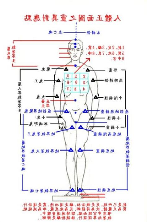 八卦 身體部位